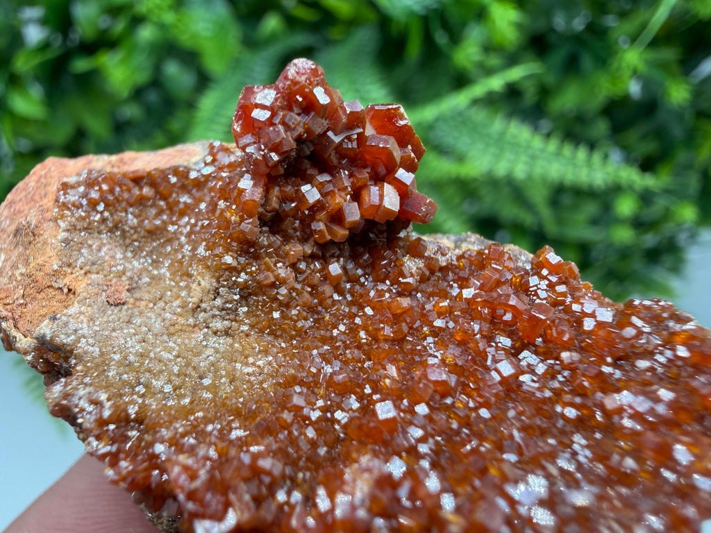 Red Vanadinite on Matrix from Marocco,crystal minerals Speciment cluster Vanadinite crystal Vanadinite Geology Vanadinite cluster minerals
