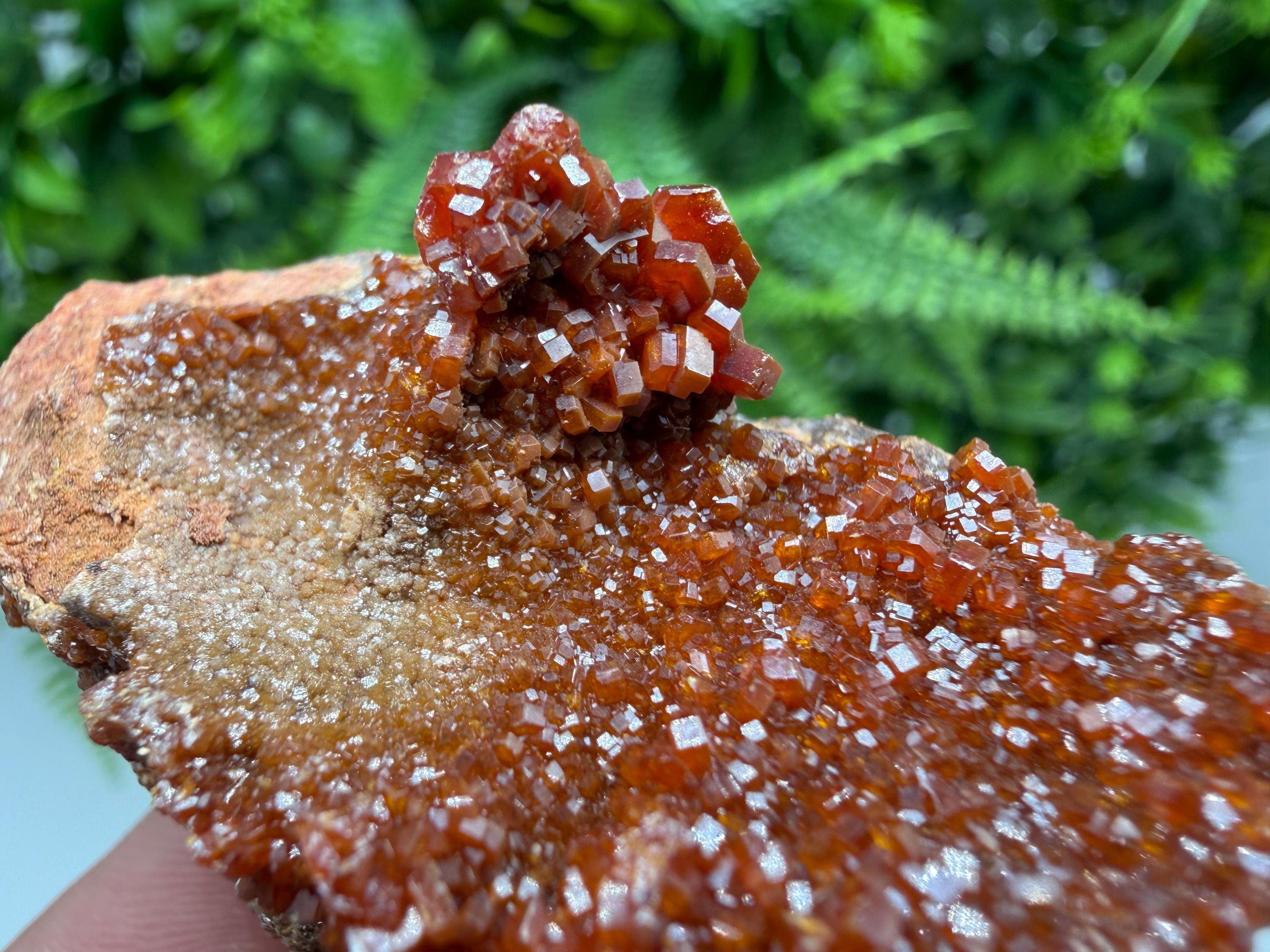 Red Vanadinite on Matrix from Marocco,crystal minerals Speciment cluster Vanadinite crystal Vanadinite Geology Vanadinite cluster minerals