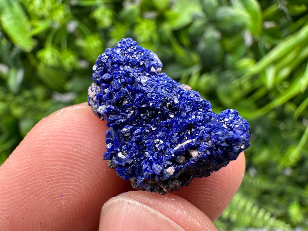 Crystallized Azurite-Kerrouchen,Morocco-Blue Azurite Specimen-High Quality Blue Azurite-Azurite Mineral Specimen, gemmy,lustrous of Azurite