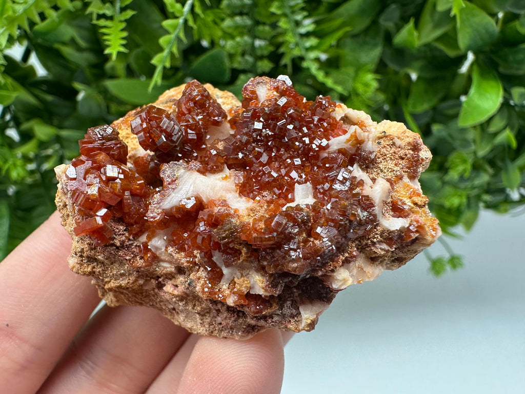 Red Vanadinite on Barite from Marocco,crystal minerals Speciment cluster Vanadinite crystal Vanadinite Geology Vanadinite cluster minerals