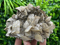 Calcite on Quartz with Oxide, Borieva Mine Mineral Specimen