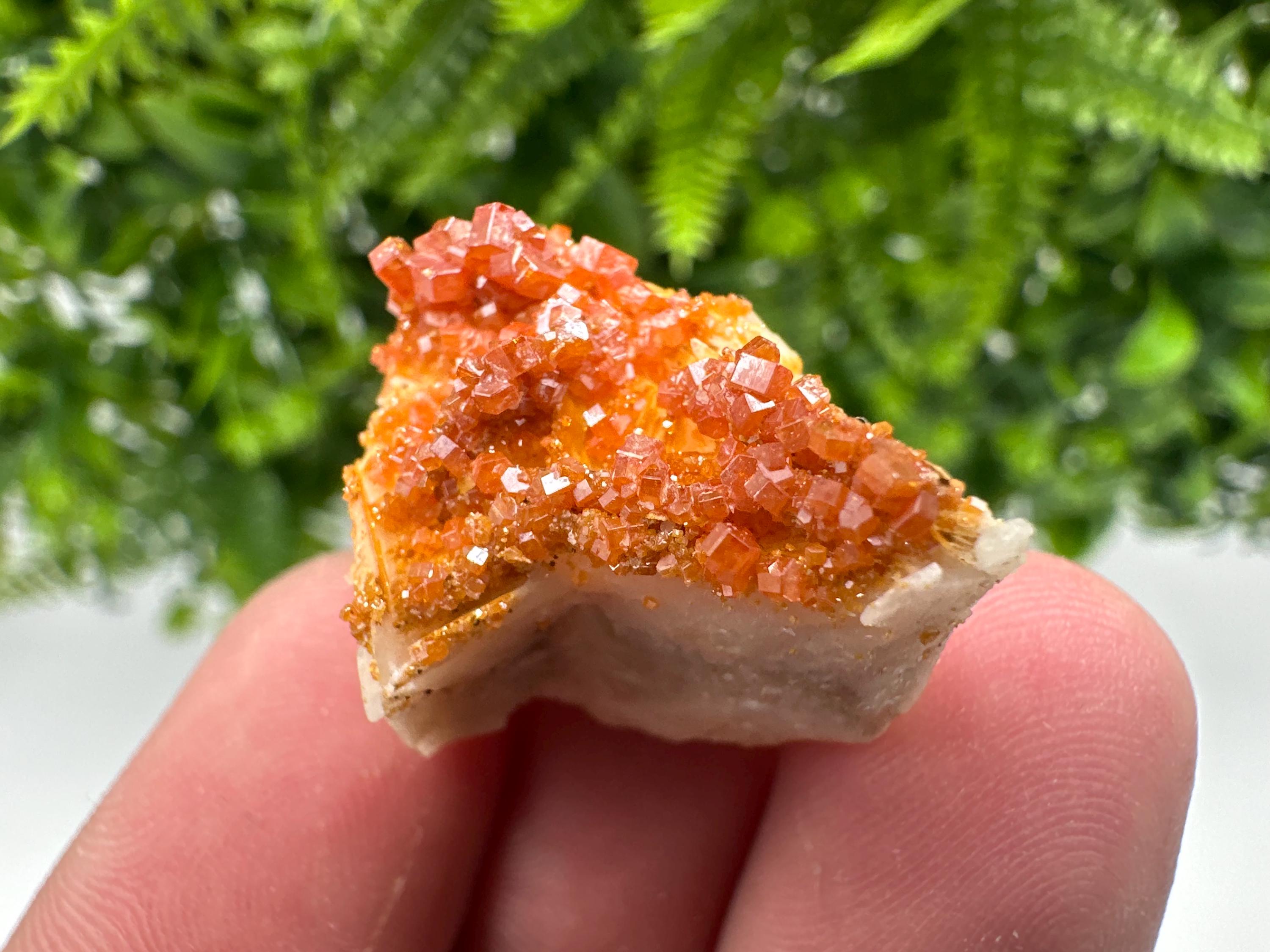 Red Vanadinite Crystal Cluster on Barite Matrix, Moroccan Mineral Specimen