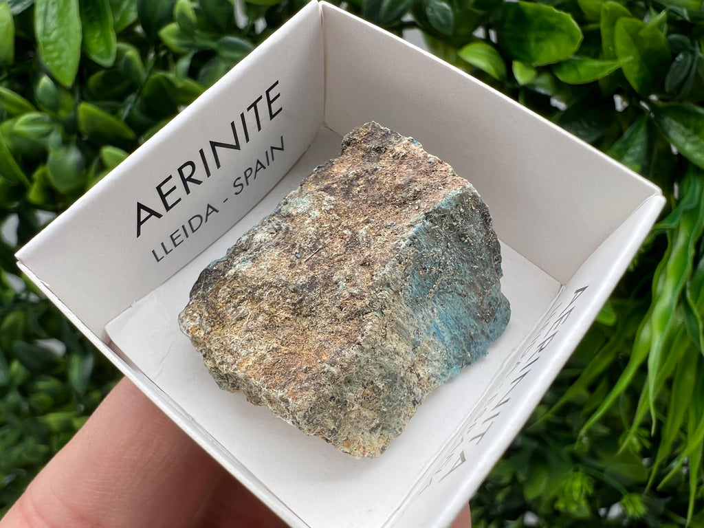 Rare Raw Aerinite Mineral Specimen: Collection Crystal from Lleida, Spain (3/2.5 CM)