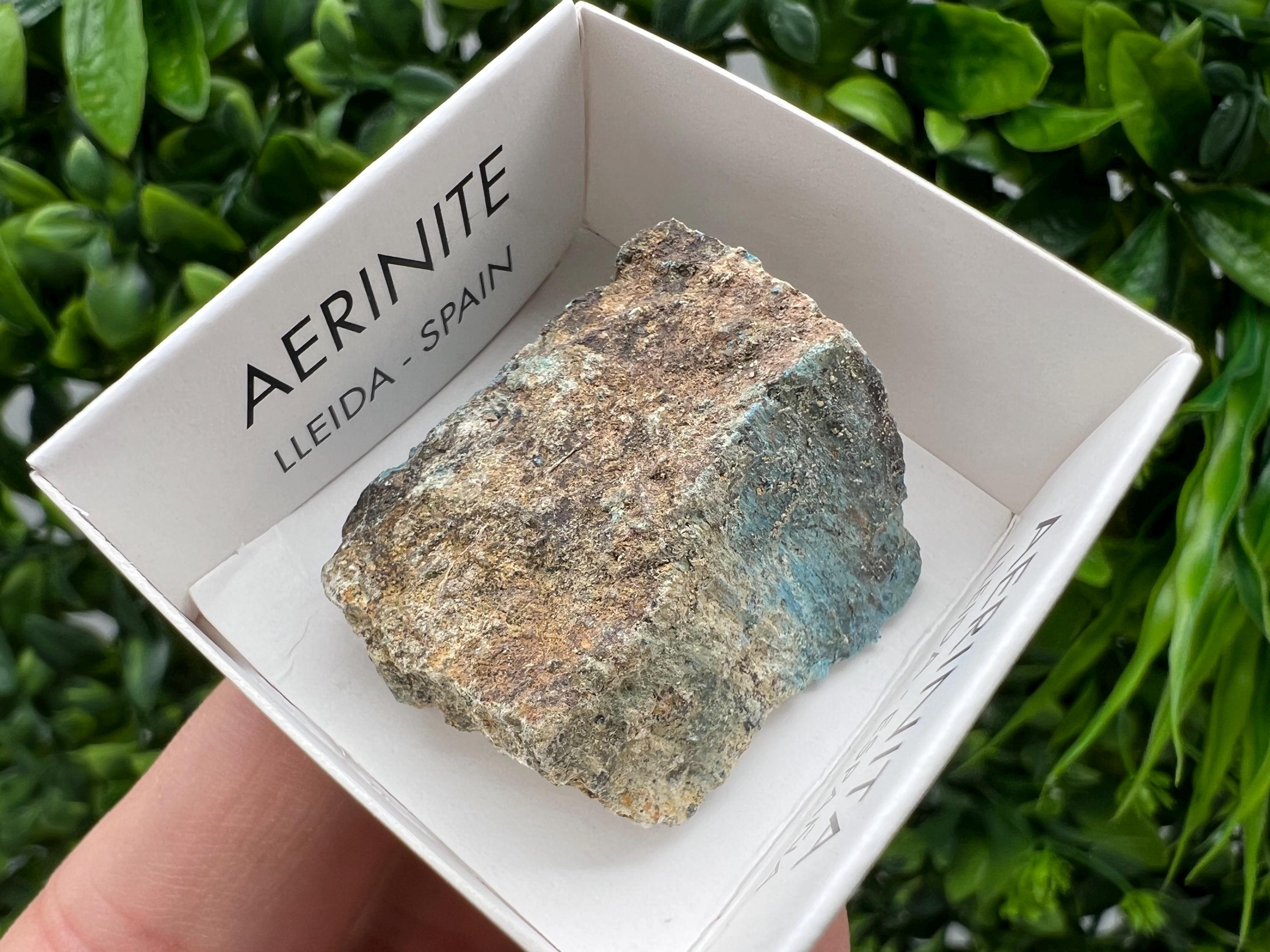 Rare Raw Aerinite Mineral Specimen: Collection Crystal from Lleida, Spain (3/2.5 CM)