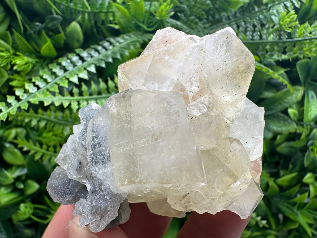 Apophyllite Stilbite on Chalcedony, India Mineral Specimen