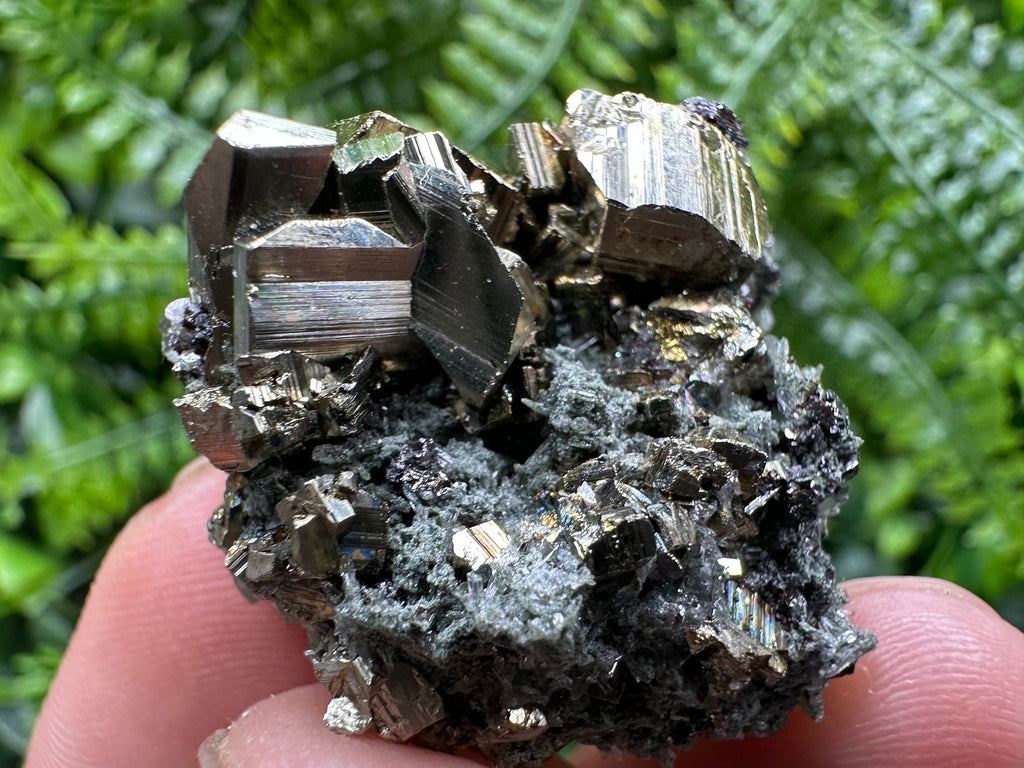 Pyrite on Quartz with Chlorite, Natural Crystal Mineral Specimen