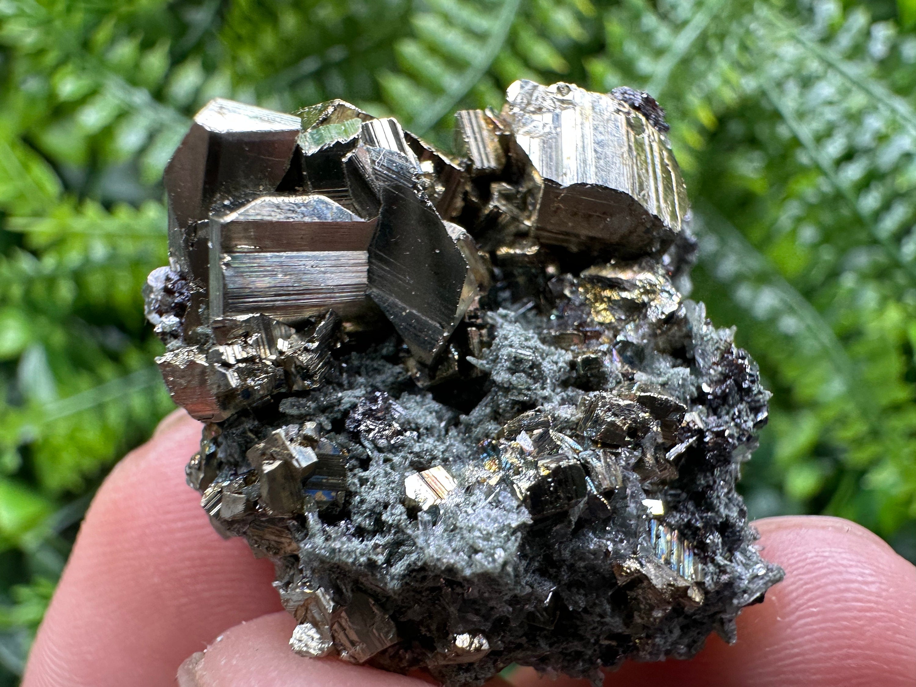 Pyrite on Quartz with Chlorite, Natural Crystal Mineral Specimen
