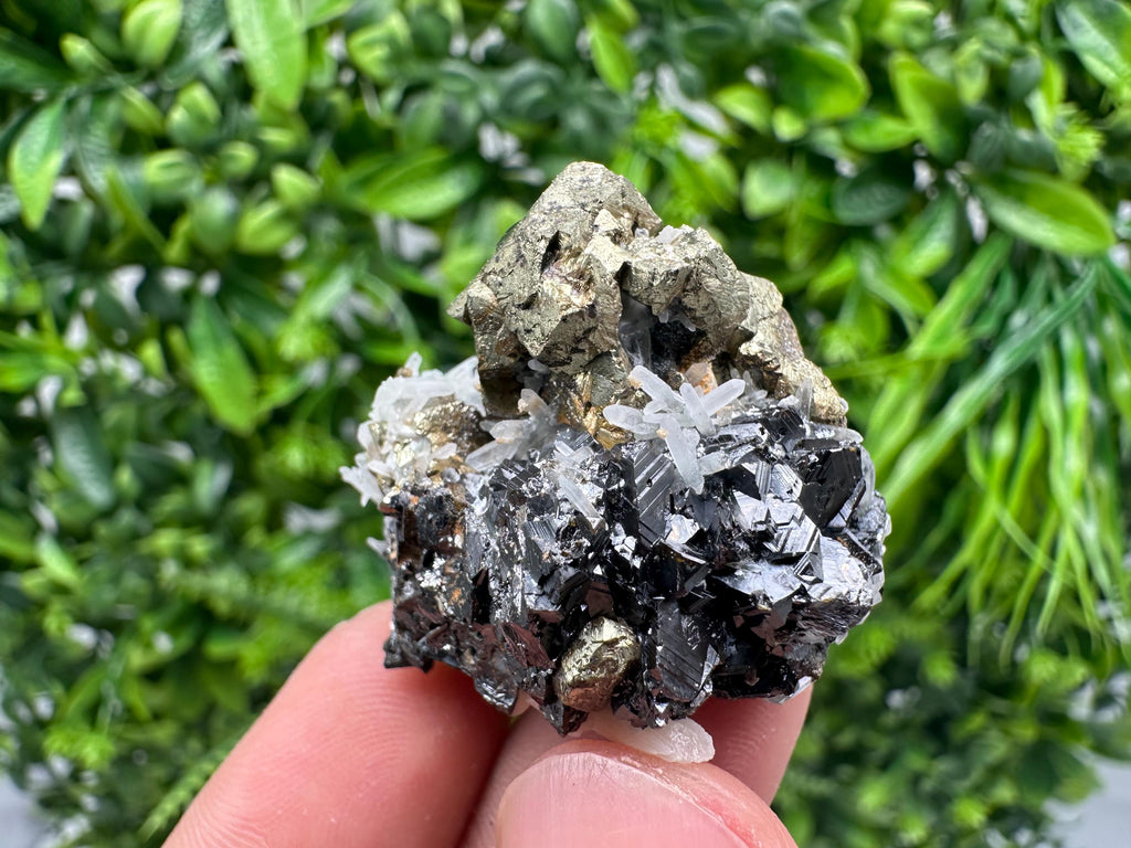 Wonderful Chalcopyrite on Sphalerite from 9 th September mine,Madan,Bulgaria,natural,collection mineral specimen,Home decor stone,Rare cryst