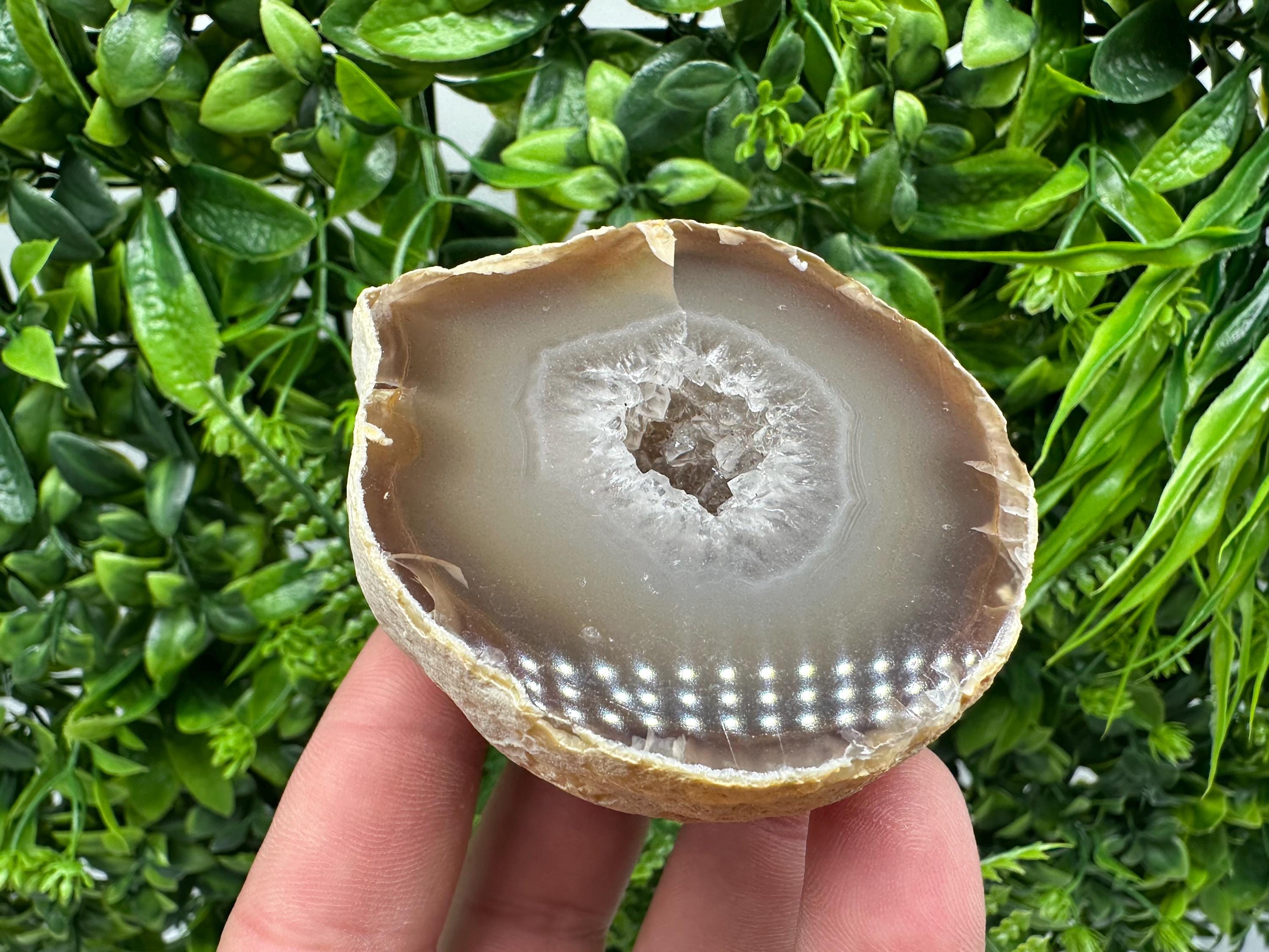 Natural Agate Druzy Geode: Quartz Crystal, 264 grams