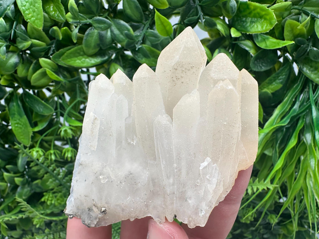 Quartz Rhodochrosite Cluster, Djurcovo Mine Mineral Specimen