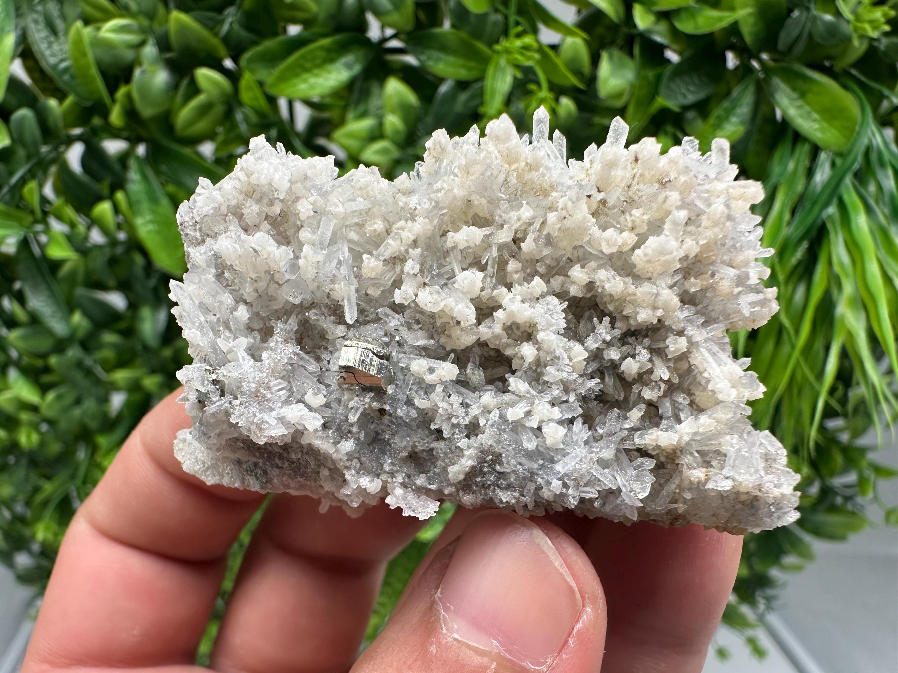 Transparent Quartz with Pyrite, Krushev Dol Mine, Bulgaria