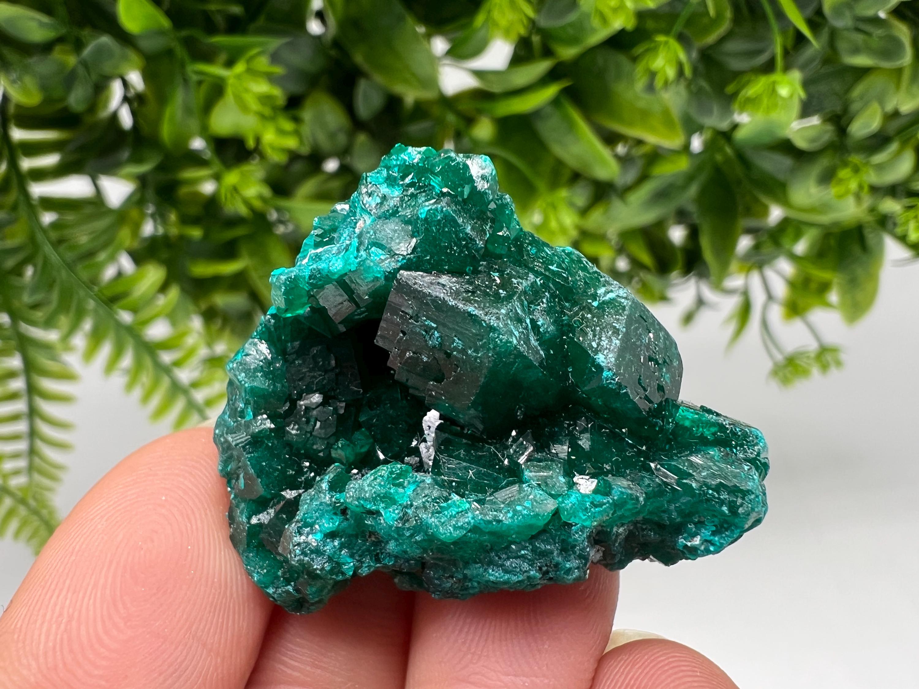 Stunning Green Dioptase from Sanda Hills,Mindouli,Pool Department,Mindouli District,Congo,green Dioptase,Dioptas Crystal,Dioptase collecting