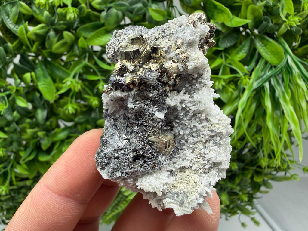 Pyrite Sphalerite Quartz  Mineral Specimen, Krushev dol Mine
