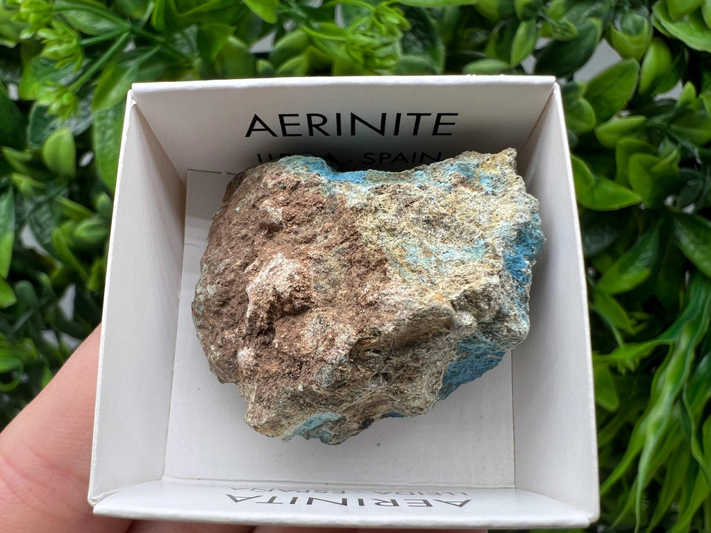 Rare Raw Aerinite Mineral Specimen: Lleida, Spain (3.5/3 CM