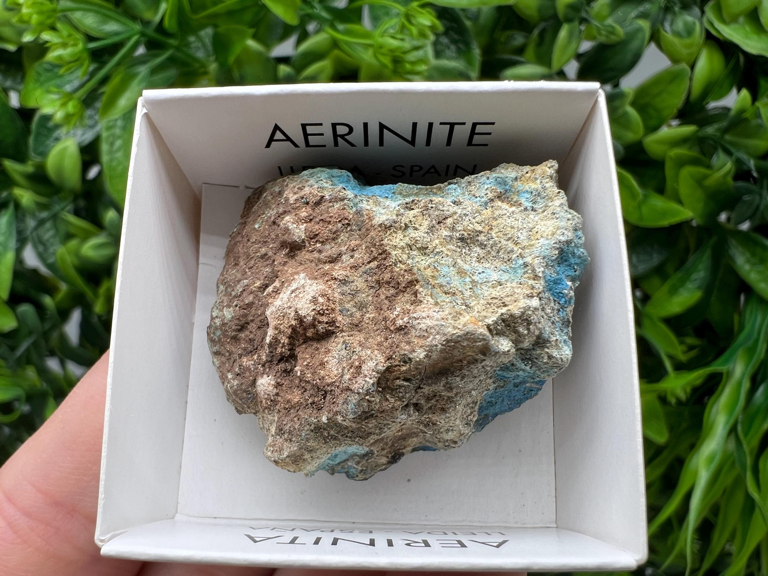 Rare Raw Aerinite Mineral Specimen: Lleida, Spain (3.5/3 CM