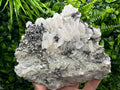 Golden Pyrite with Calcite on Matrix, Borieva Mine Mineral Specimen