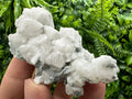 Calcite on Green Quartz: Djurcovo Mine, Bulgaria