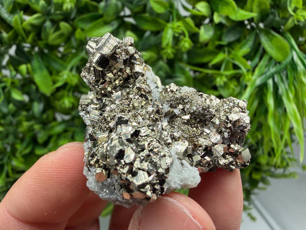 Pyrite Sphalerite Quartz  Mineral Specimen, Krushev dol Mine