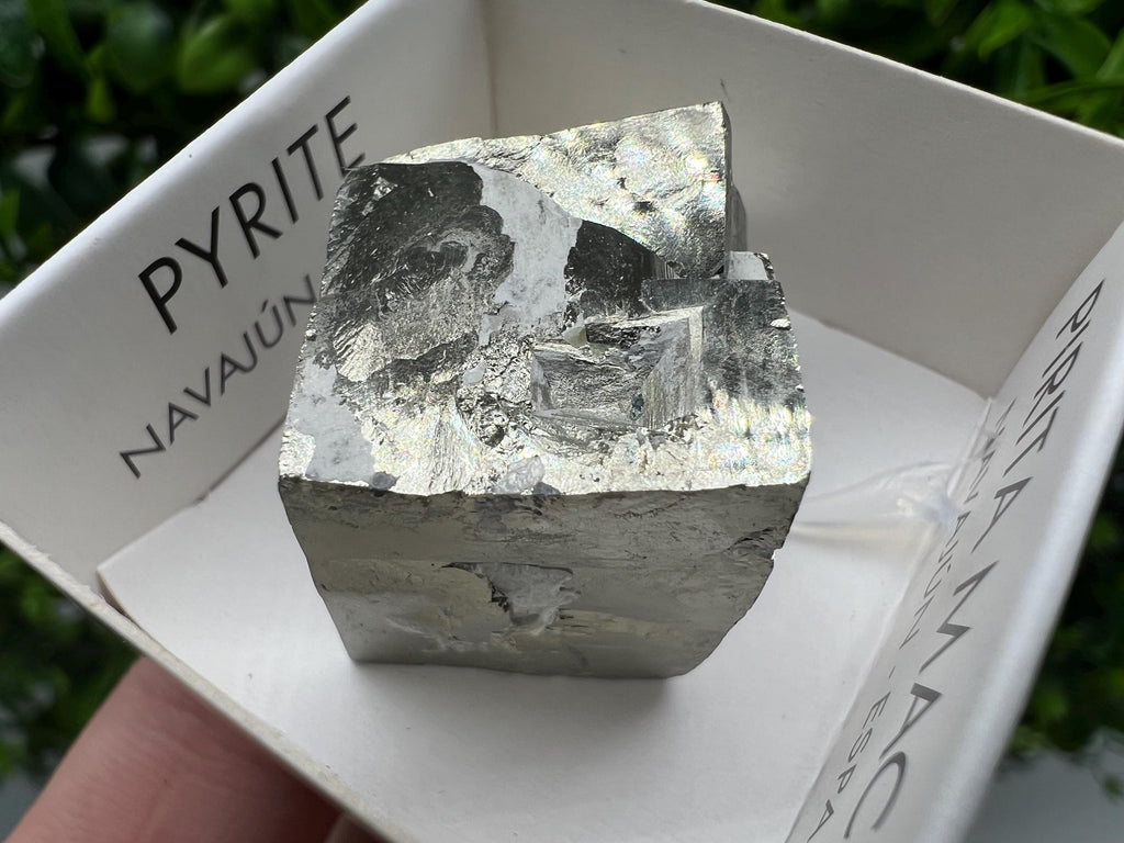 Navajun Pyrite Cube: Interjoined Gold Mineral Specimen, La Rioja Spain
