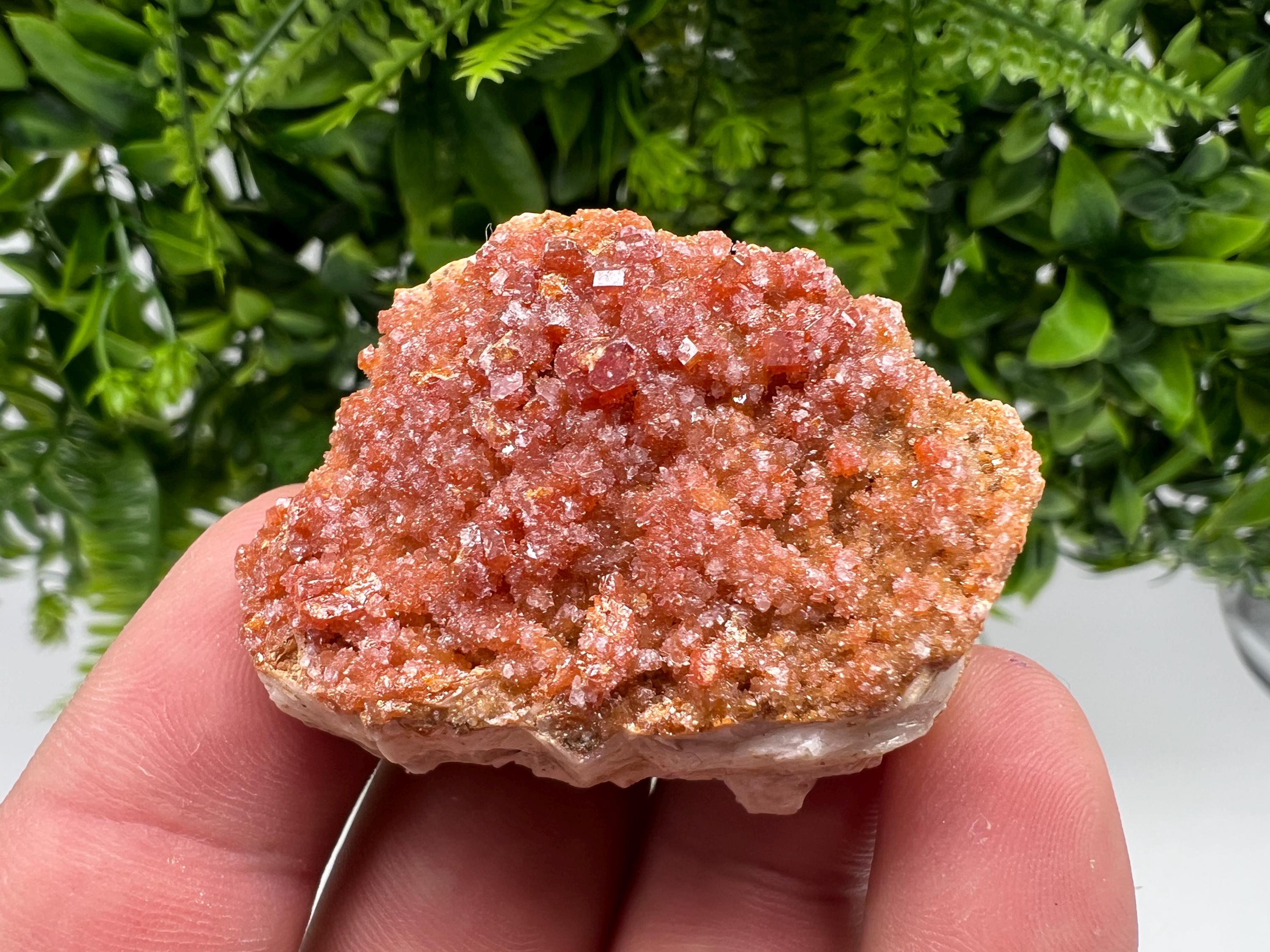 Red Vanadinite on Barite from Marocco,crystal minerals Speciment cluster Vanadinite crystal Vanadinite Geology Vanadinite cluster minerals