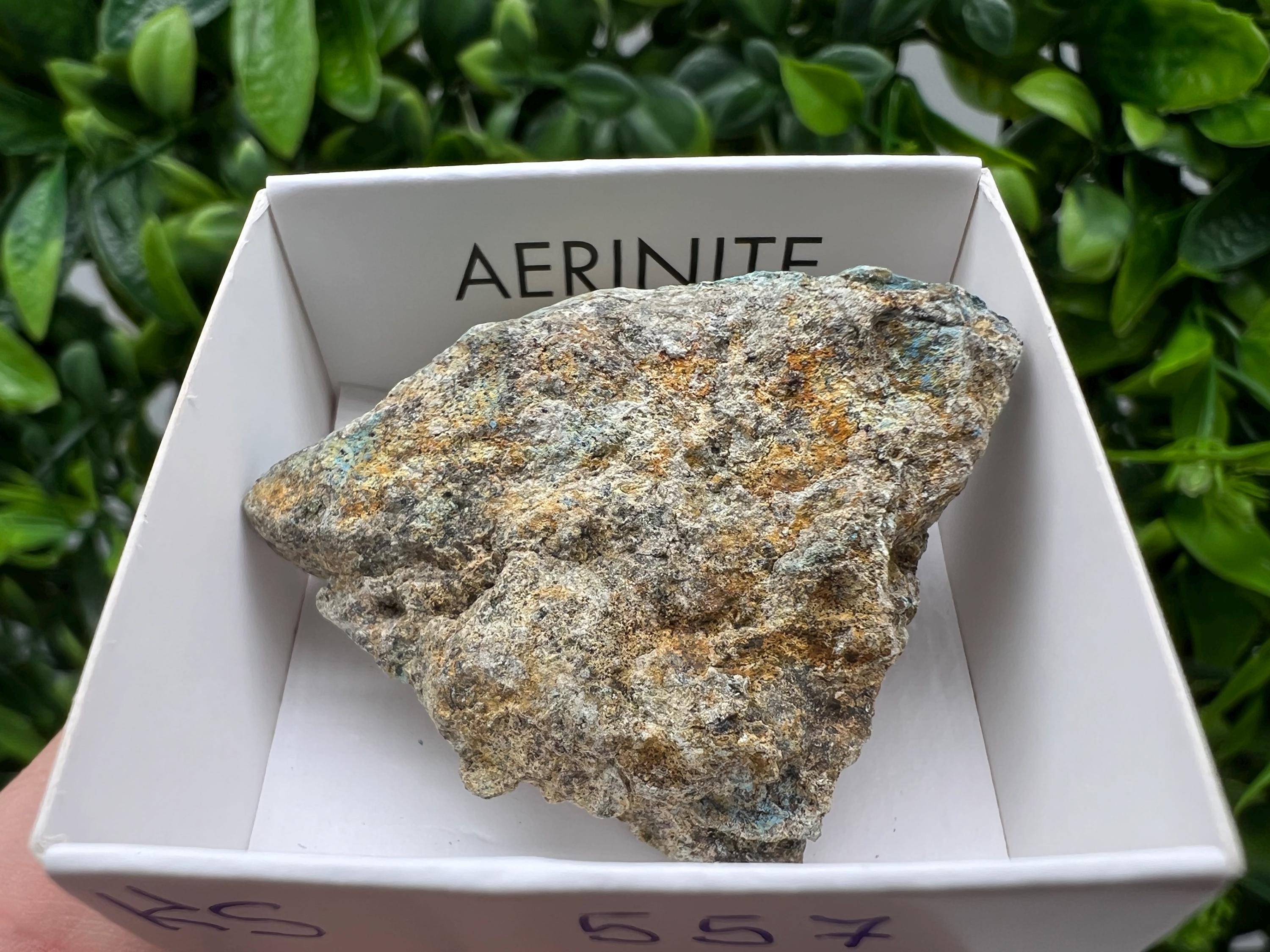 Rare Raw Aerinite Mineral Specimen: Collection Crystal from Lleida, Spain (4/3.5 CM)