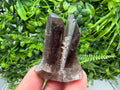 Rare Smoky Quartz Crystal Cluster, Mineral Specimen from Brazil