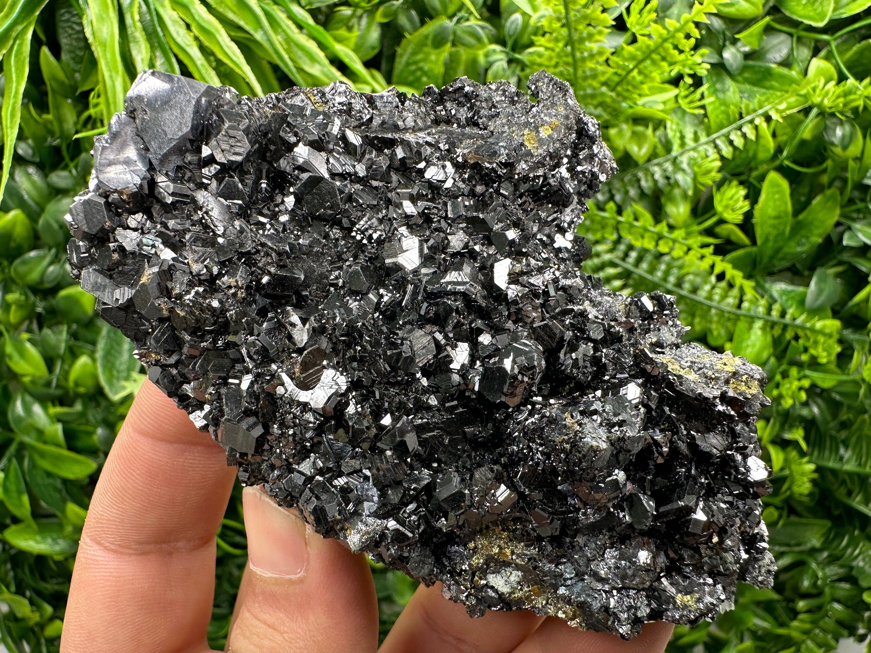Shiny Galena with Black Sphalerite: Natural Mineral Souvenir