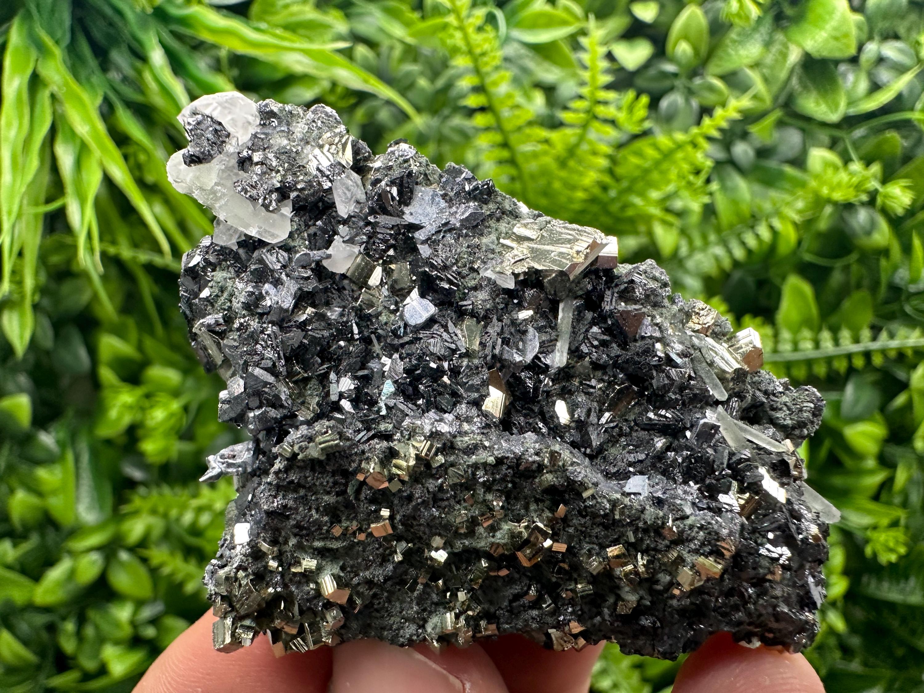 Sphalerite on Quartz with Pyrite, Borieva Mine Mineral Specimen