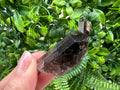 Rare Smoky Quartz,mineral specimen,collection crystal,minerals,Smoky Quartz crystal,from BRAZIL,rare Smoky Quartz,home decor,wholesale,cls