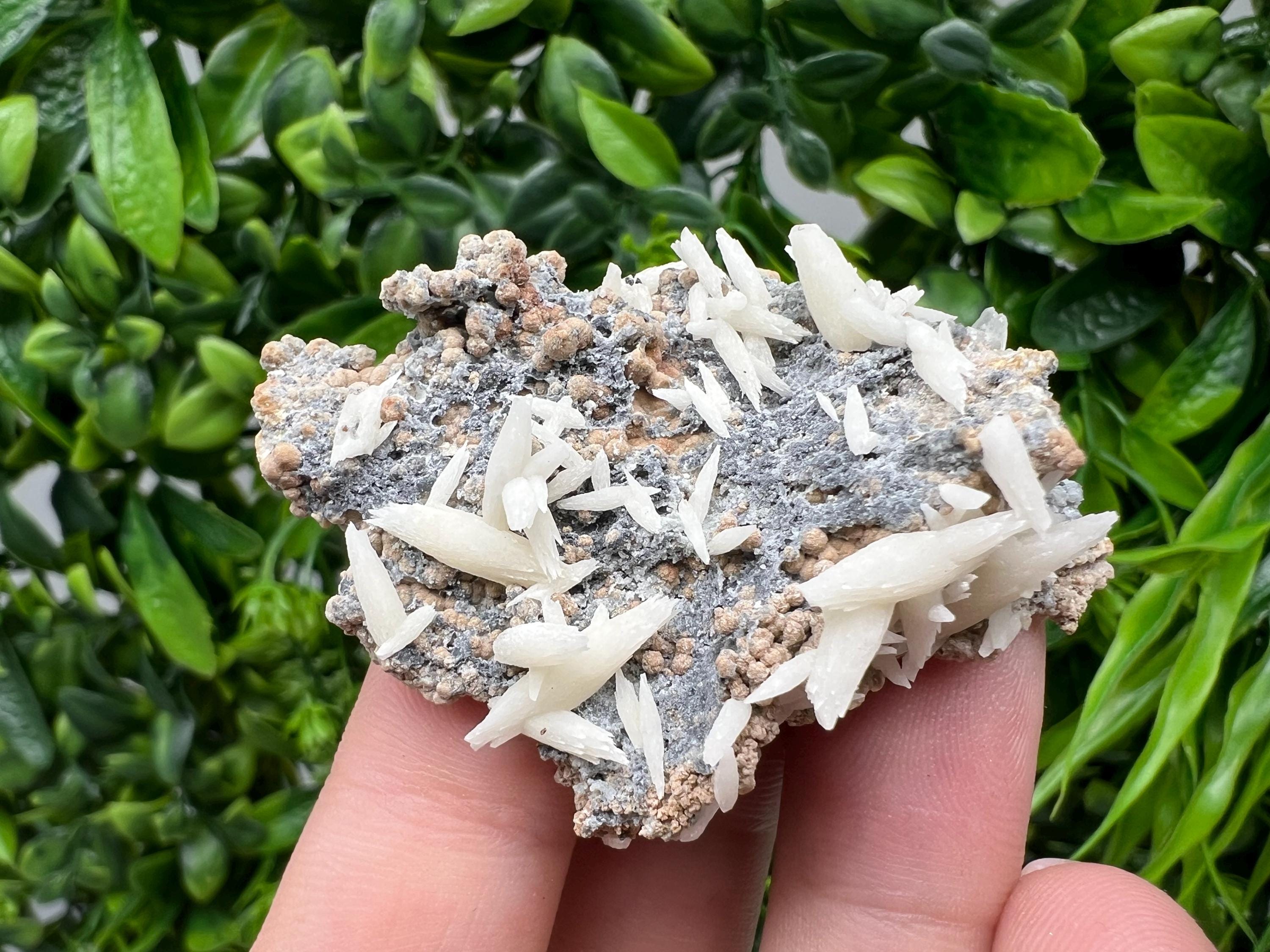 Rare Rainbow Pyrite Calcite Specimen: Madan Bulgaria Mineral Decor