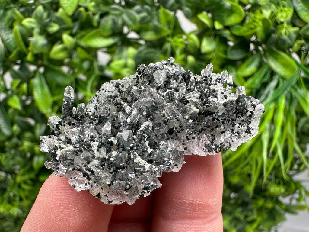Chlorite Quartz Mineral Specimen, Borieva Mine, Bulgaria