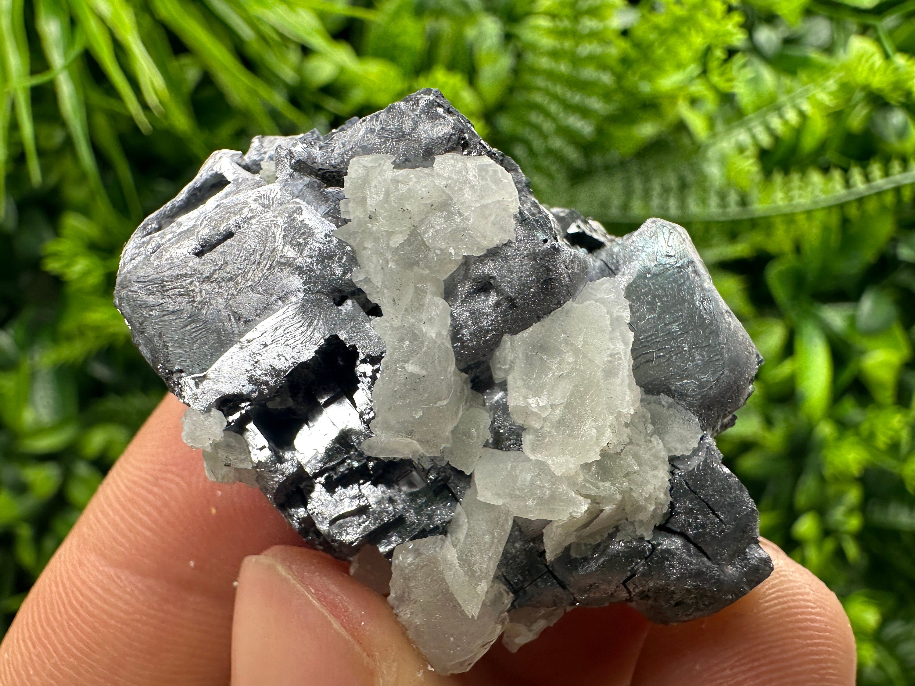 Galena Cluster: Borieva Mine, Madan, Bulgaria