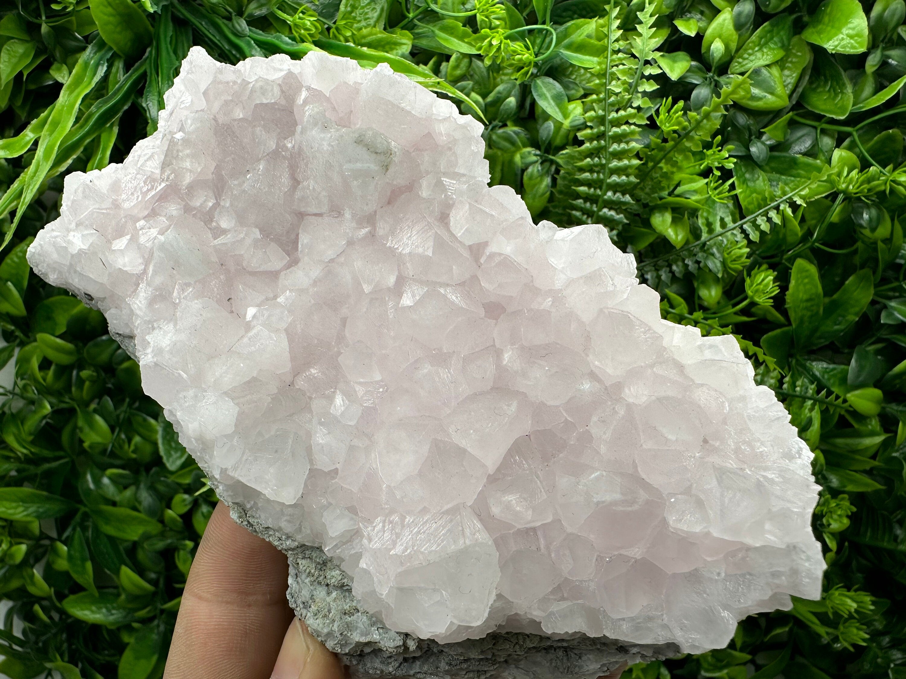 UV Reactive Mangano Calcite Crystal: Androvo Mine, Bulgaria