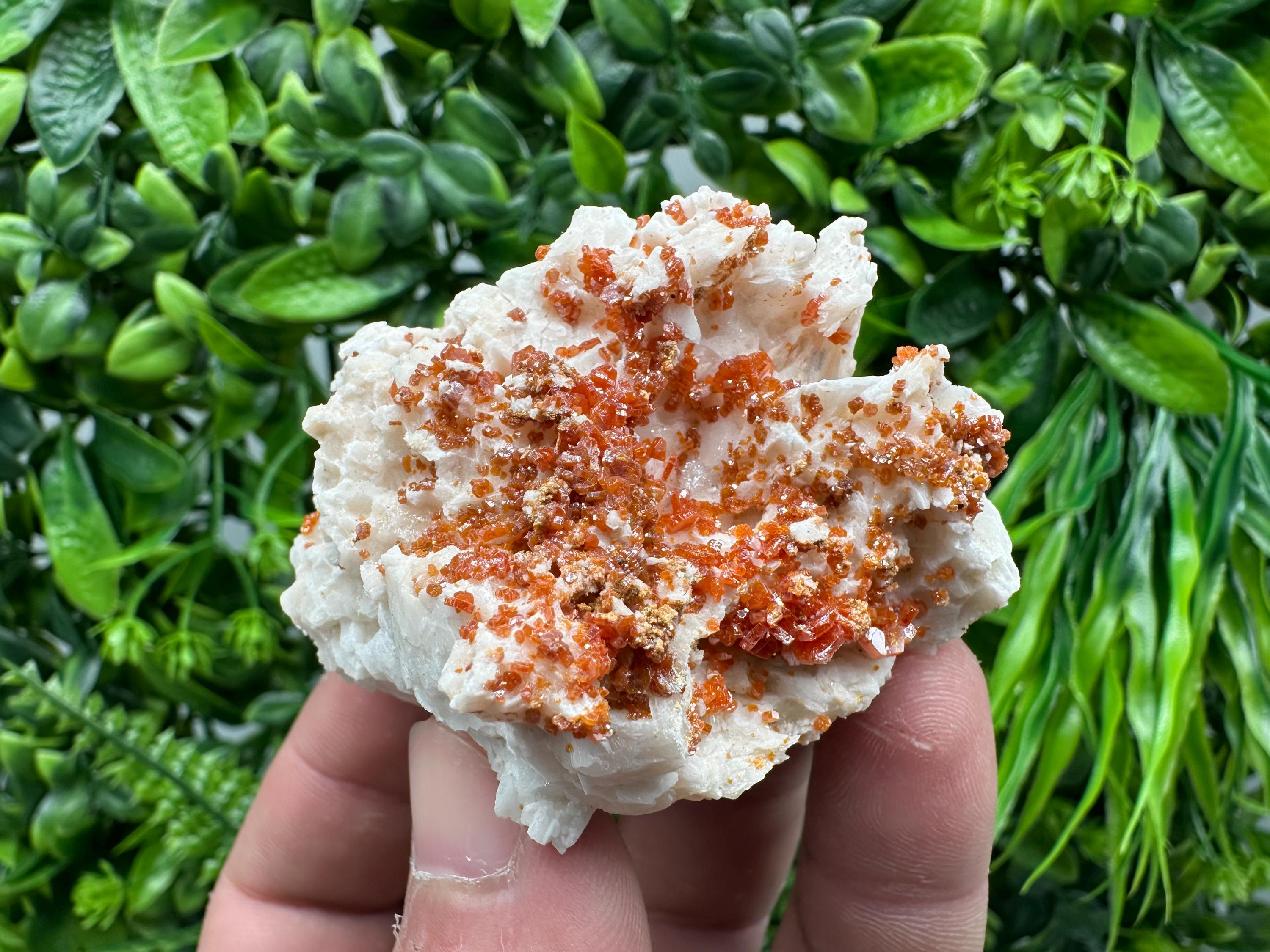 Red Vanadinite Crystal on Barite Matrix, Morocco Mineral Specimen