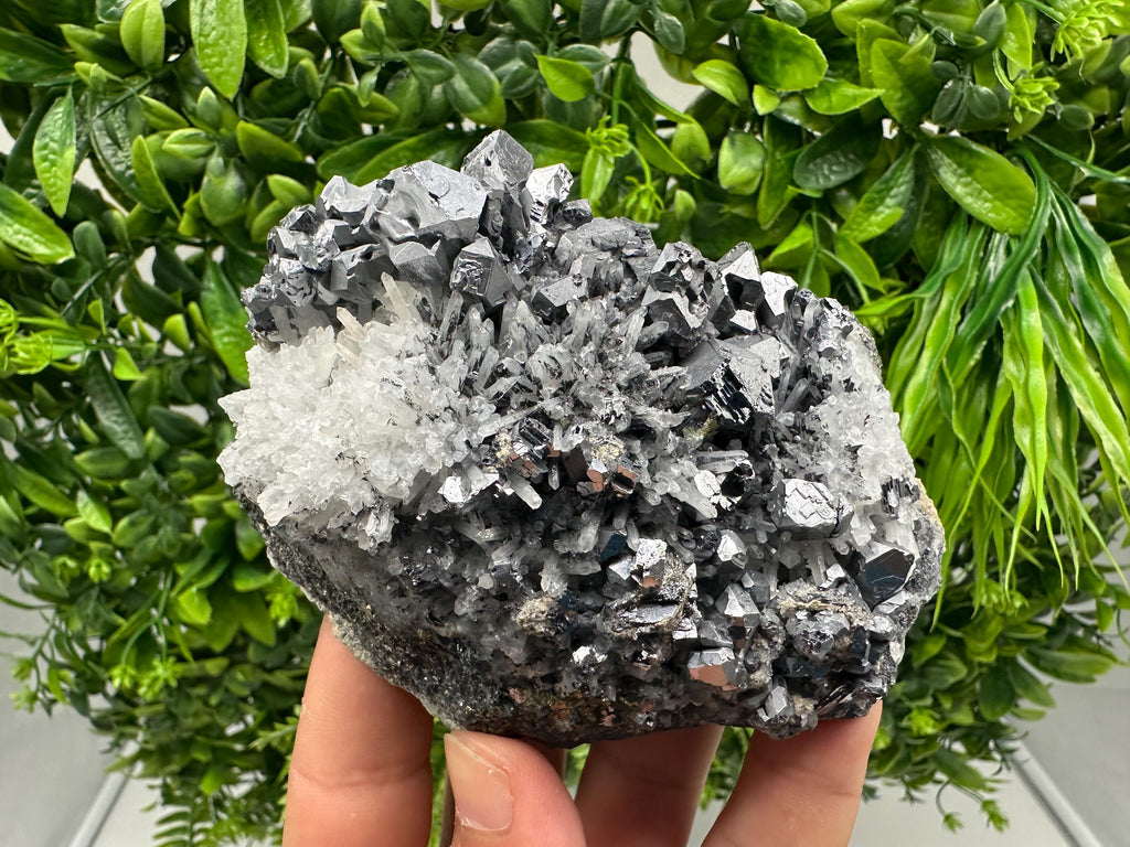 Galena Sphalerite Quartz Mineral Specimen: Krushev Dol Mine