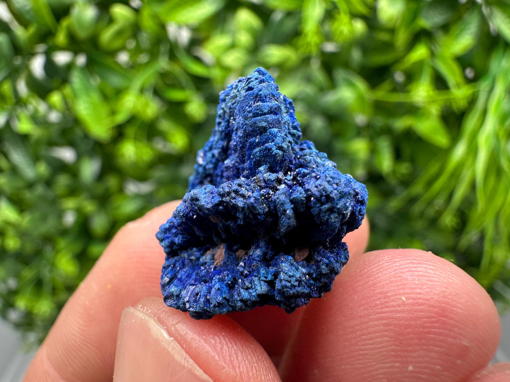 Crystallized Azurite-Kerrouchen,Morocco-Blue Azurite Specimen-High Quality Blue Azurite-Azurite Mineral Specimen, gemmy,lustrous of Azurite
