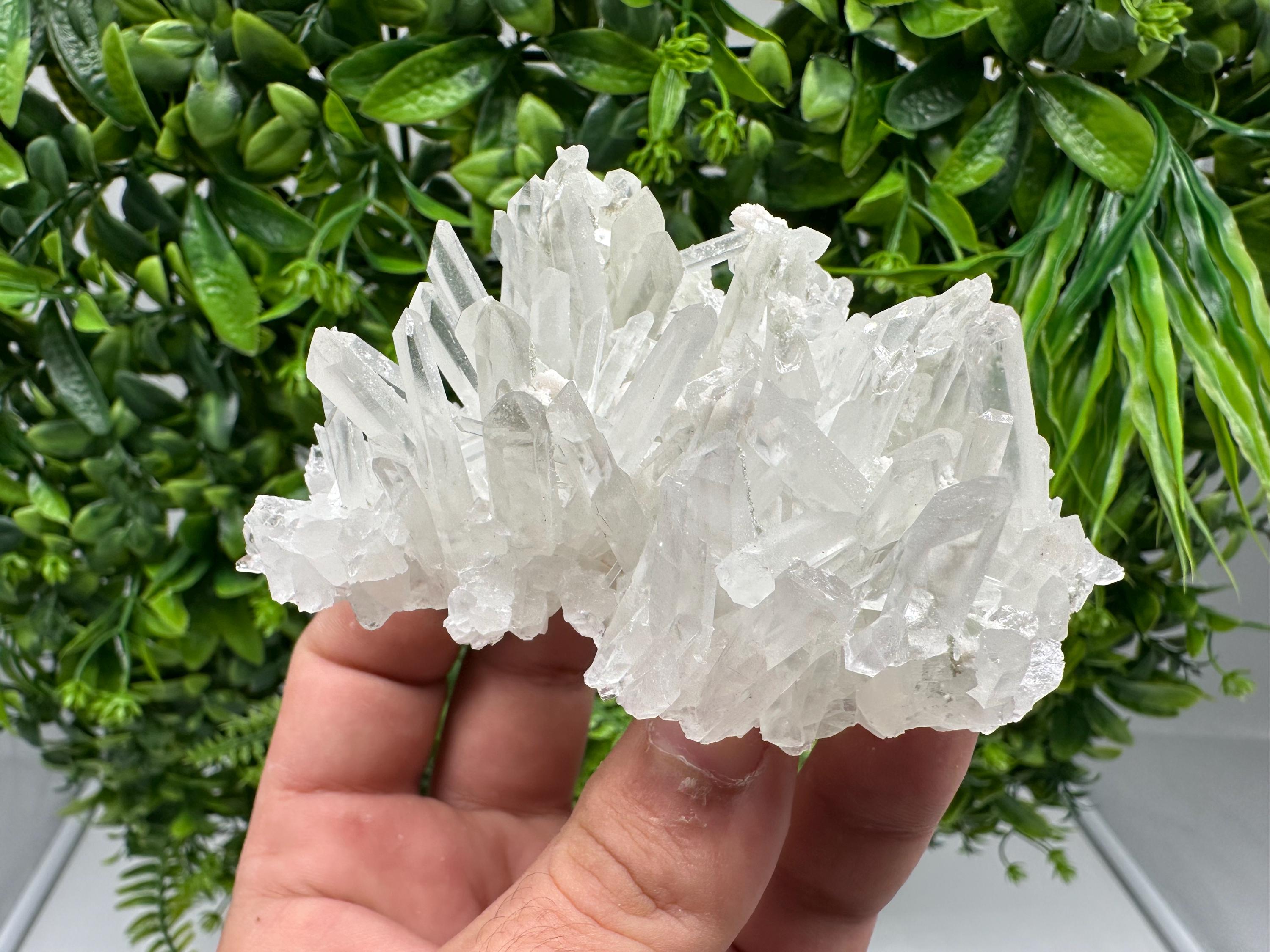 Transparent Quartz Crystal: Djurcovo Mine, Bulgaria
