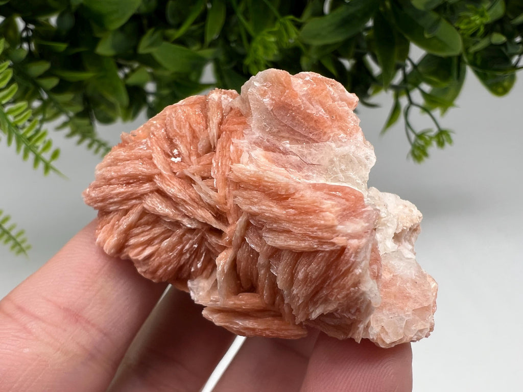 Wonderful Baryte with Cerussite on Galena from Morocco,Crystal, Mineral,Specimen,Cluster,Crystals,Barite Crystal,Cerussite Crystal,Specimen