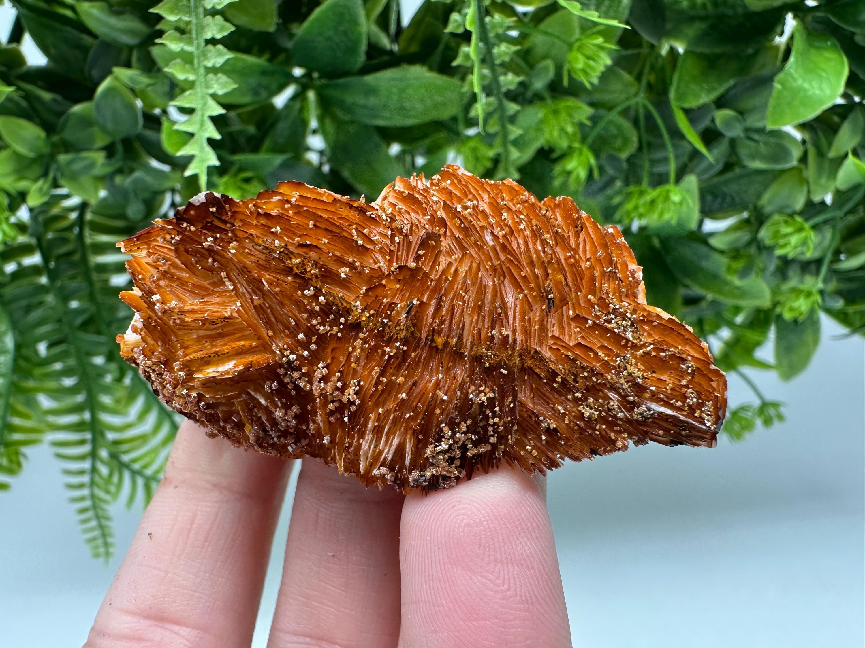 Red Vanadinite Crystal Cluster on Barite Matrix from Morocco