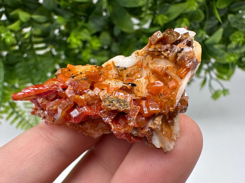 Red Vanadinite on Barite from Marocco,crystal minerals Speciment cluster Vanadinite crystal Vanadinite Geology Vanadinite cluster minerals