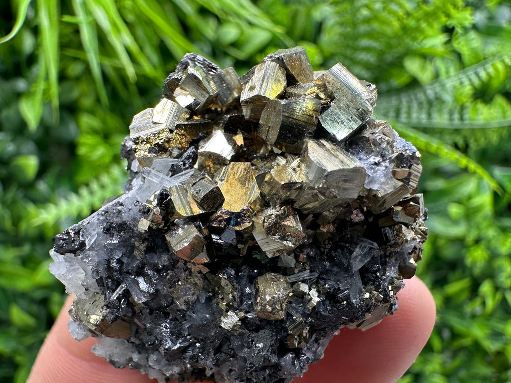 Rainbow Pyrite on Sphalerite & Quartz, Borieva Mine, Bulgaria