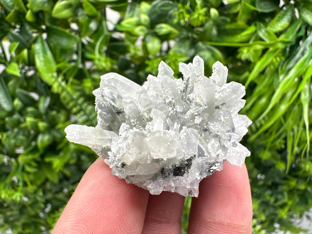 Chlorite Quartz Cluster, Borieva Mine Mineral Specimen