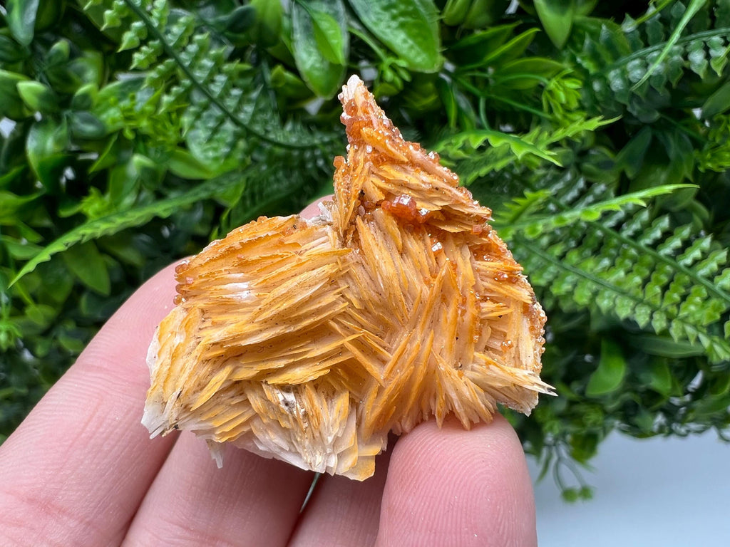 Red Vanadinite on Barite from Marocco,crystal minerals Speciment cluster Vanadinite crystal Vanadinite Geology Vanadinite cluster minerals