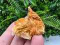 Red Vanadinite on Barite from Marocco,crystal minerals Speciment cluster Vanadinite crystal Vanadinite Geology Vanadinite cluster minerals