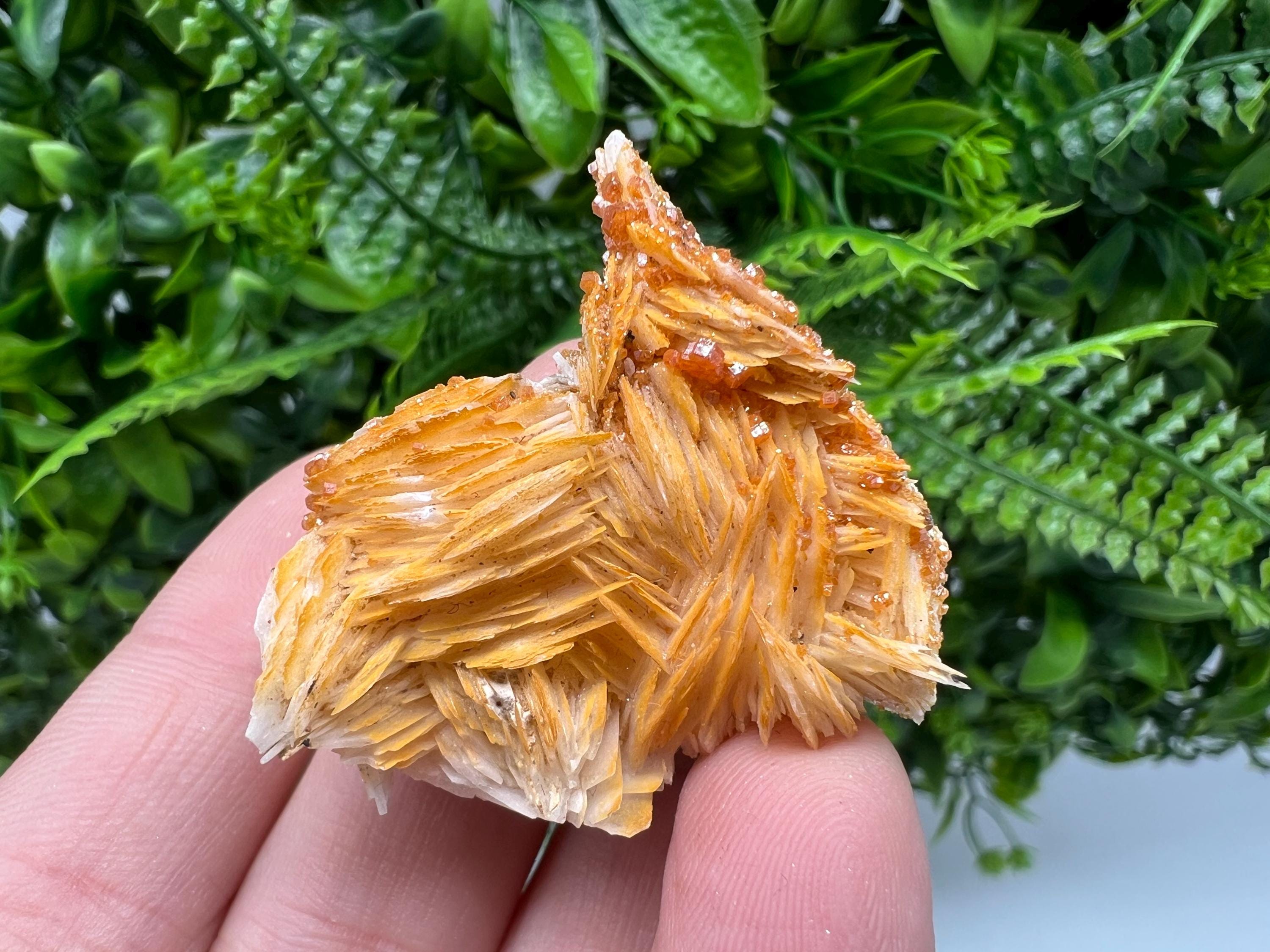 Red Vanadinite on Barite from Marocco,crystal minerals Speciment cluster Vanadinite crystal Vanadinite Geology Vanadinite cluster minerals