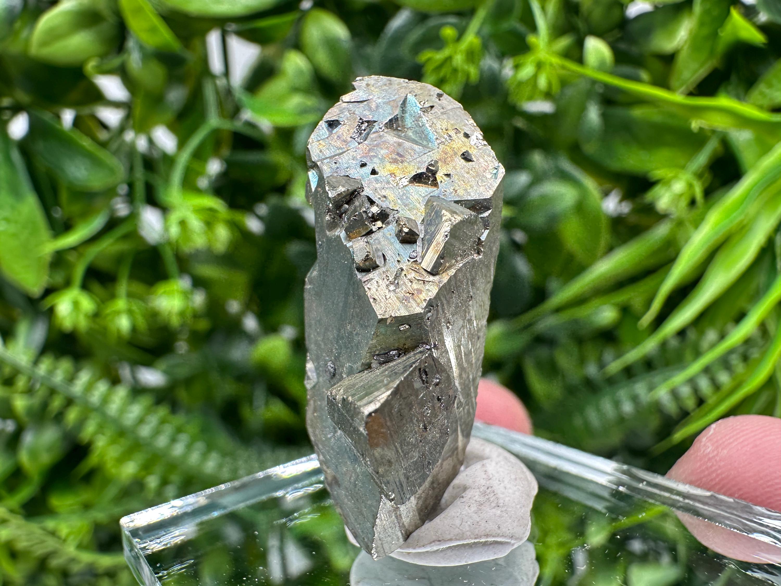 Rare Mini Pyrite Cluster: Borieva Mine, Bulgaria