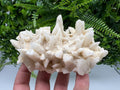 Calcite on Aragonite: Rare Healing Crystal from Bulgaria