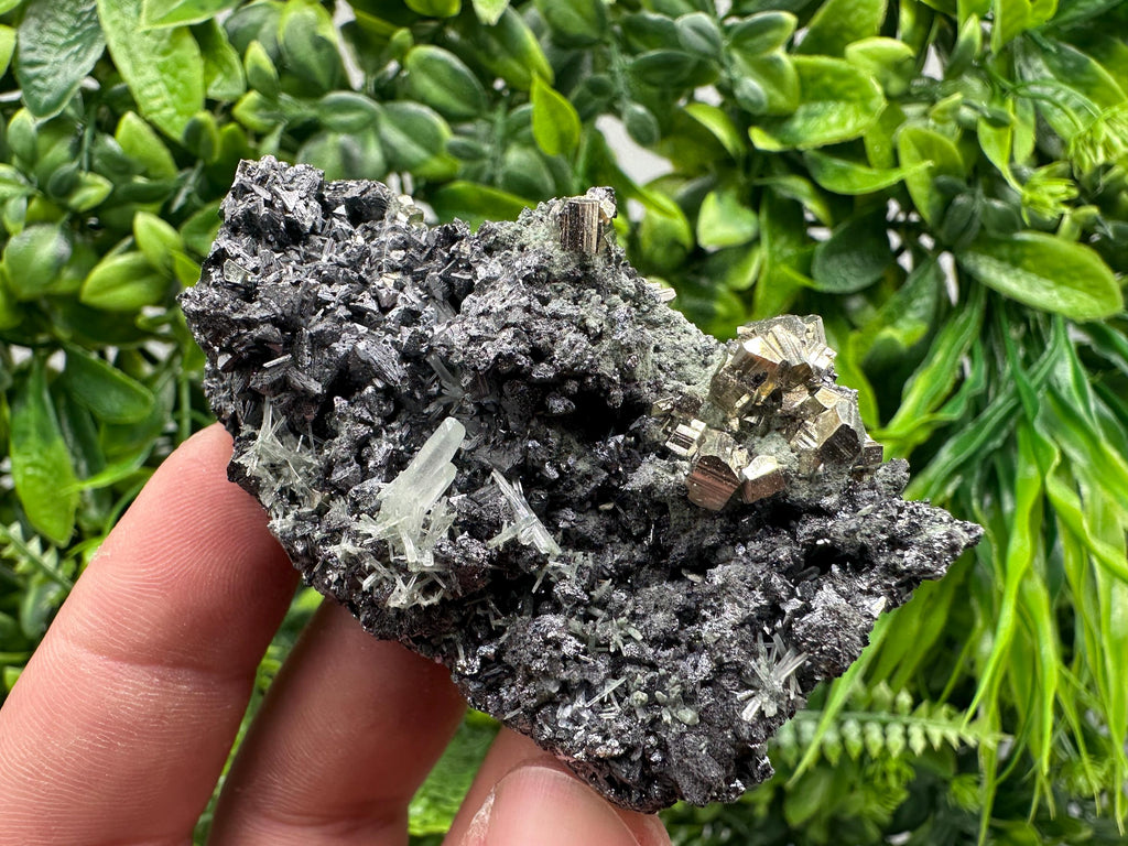 Pyrite on Sphalerite with Quartz, Borieva Mine Mineral Specimen