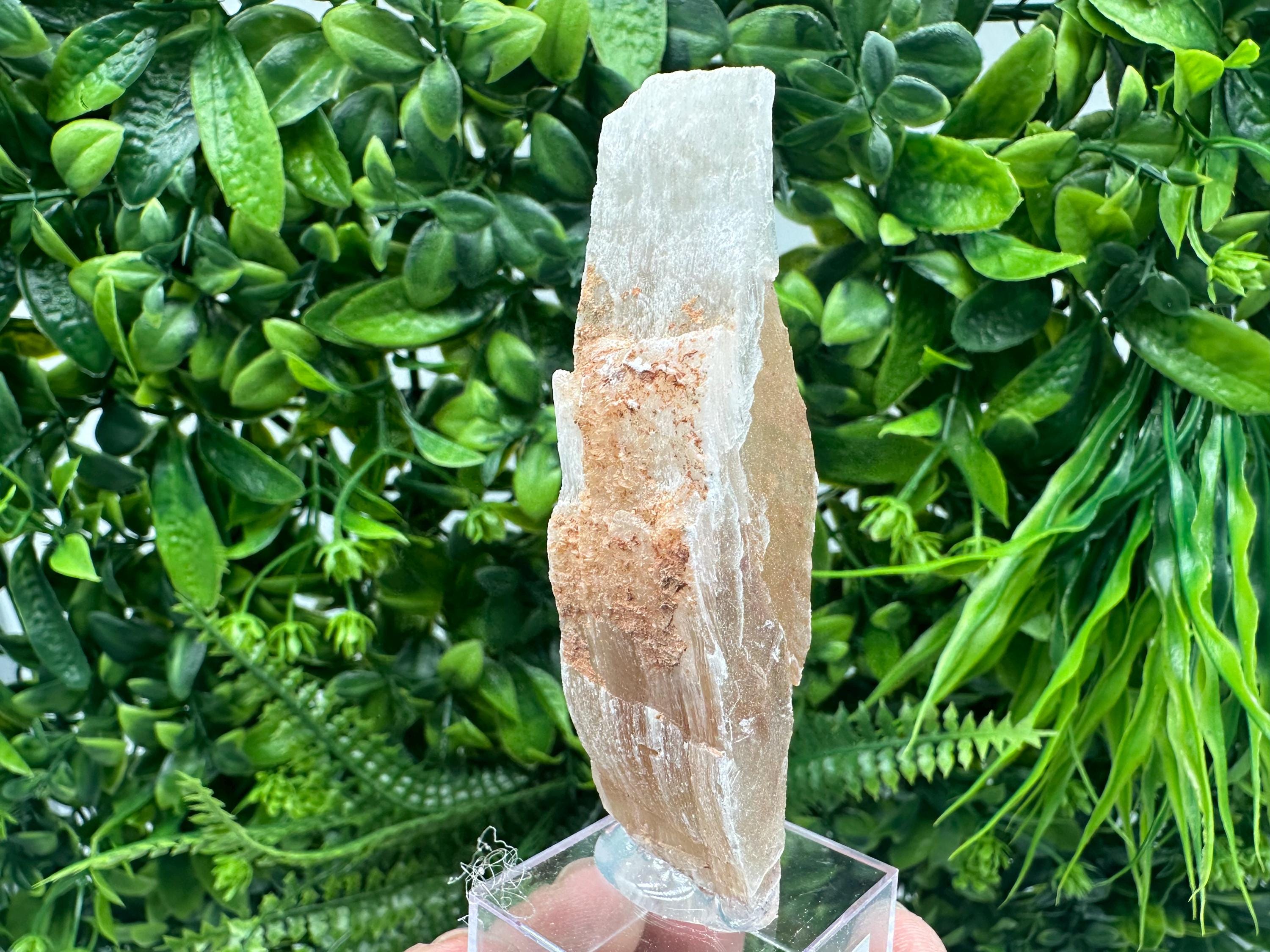 Golden Phantom Selenite Slab: Raw Utah Fishtail Selenite Wand