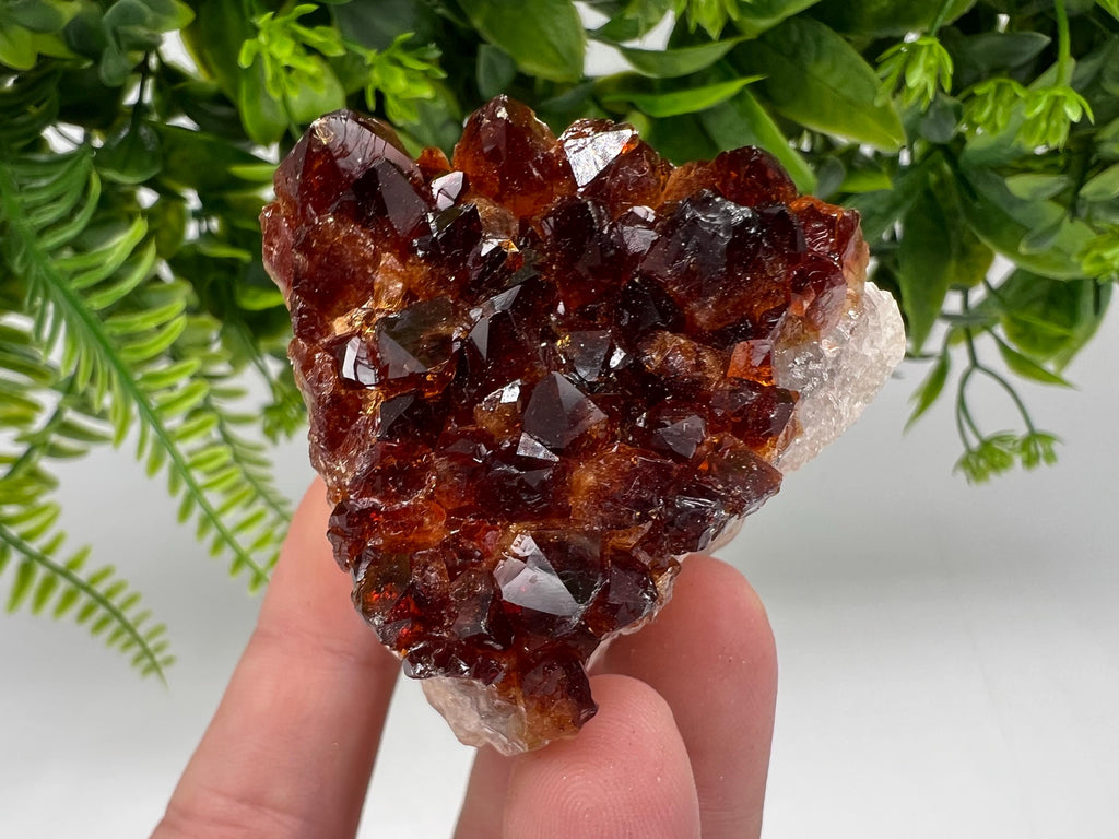 Brazilian Citrine Crystal Cluster with Hematite Inclusions